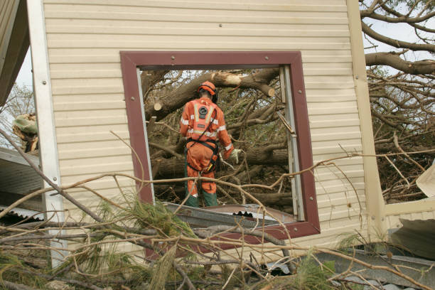 Reliable Morgans Point Resort, TX Tree Removal Solutions